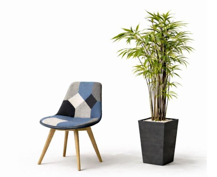 bullesante-slide-salle-attente-mons-rue-nimy-mons